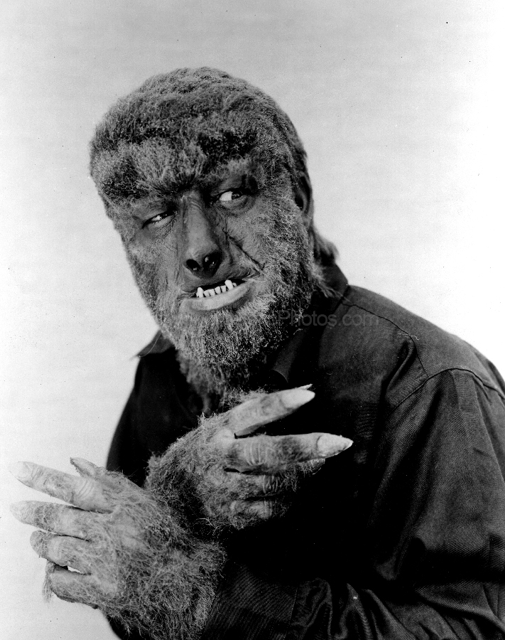 wolfman 41 3.jpg